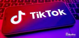 app-lam-video-tiktok-bang-hinh-anh.300