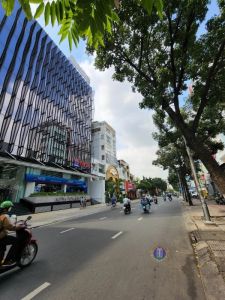 Bán nhà Cấp 4 #272 Nguyễn Đình Chiểu,P.6,Q.3