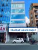 cho-thue-toa-nha-so-18ter-nguyen-thi-minh-khai - ảnh nhỏ  1