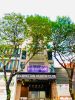 gan-goc-le-thanh-ton-mt-nam-ky-khoi-nghia-q-1 - ảnh nhỏ  1