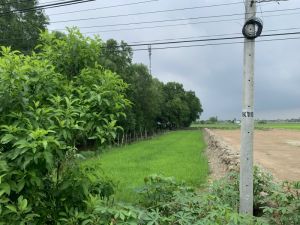 Bán đất thổ cư thị trấn Cần Đước Long An giá rẻ
