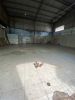 cho-thue-nha-mat-tien-duong-hoa-binh-doi-dien-cong-vien-dam-sen-700m2-chi-140tr - ảnh nhỏ 2