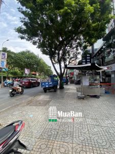 Cho thuê nhà mặt tiền đường Hoà Bình, đối diện Công Viên Đầm Sen 700m2 chỉ 140tr