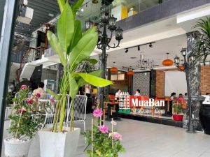 Bán đất xây biệt thự góc đẹp khu cao lỗ đồng diều Q8