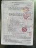 ban-nha-sieu-vi-tri-goc-2mt-duong-lon-thuong-hieu - ảnh nhỏ 5