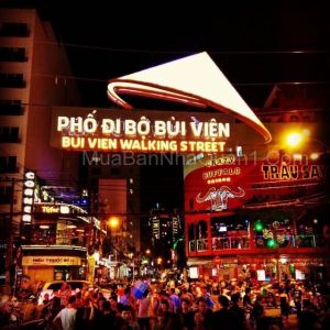 ✅[NHÀ BÁN]-🇻🇳 hẻm Trần Đình Xu Q1, 39 m2 + Chỉ💥 11 Tỷ