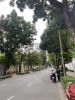cho-thue-nha-biet-thu-nguyen-dinh-chieu-quan-3 - ảnh nhỏ 2
