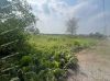 ban-dat-9025m-dat-trong-cay-lau-nam-tai-tan-phuoc-tien-giang - ảnh nhỏ 5