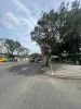 3-hoa-binh-q11-cho-thue-mat-bang-8000m2-trung-tam-thuong-mai-dam-sen - ảnh nhỏ 6