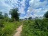 dat-mt-quoc-lo-51-phu-my-ba-ria-view-ho - ảnh nhỏ 5