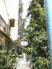 villa-mini-vuon-thao-moc-cuc-dep-giu-long-sai-gon-cuc-dep - ảnh nhỏ 2
