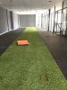 cho-thue-mat-tien-800m2-chi-100-trieu-thay-vi-200tr - ảnh nhỏ 2