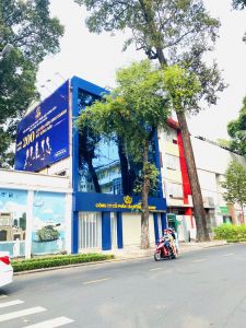 Bán tòa nhà #11-11a Phạm Ngọc Thạch,p6, quân 3