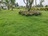 ban-dat-nen-chinh-chu-cach-tphcm-35-km-thu-thua-long-an-1000m2-chi-2-ty - ảnh nhỏ 11