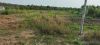 ban-2200m2-dat-tho-cu-ngay-thi-tran-tan-phuoc-tien-giang-cach-tp-hcm-60km-2-tr/m2 - ảnh nhỏ  1