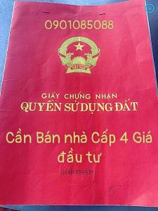 [ĐẦU TƯ]Bán nhà Cấp 4 Quận 7 Giáp Q.1& Q.8 DT:442m2 Giá đầu tư
