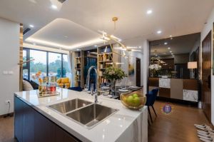 Một căn Vinhomes Ocean Park 4x12m 5 tầng